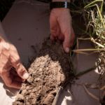 Agricultura regenerativa y tecnología en Córdoba: un modelo sostenible para el campo argentino