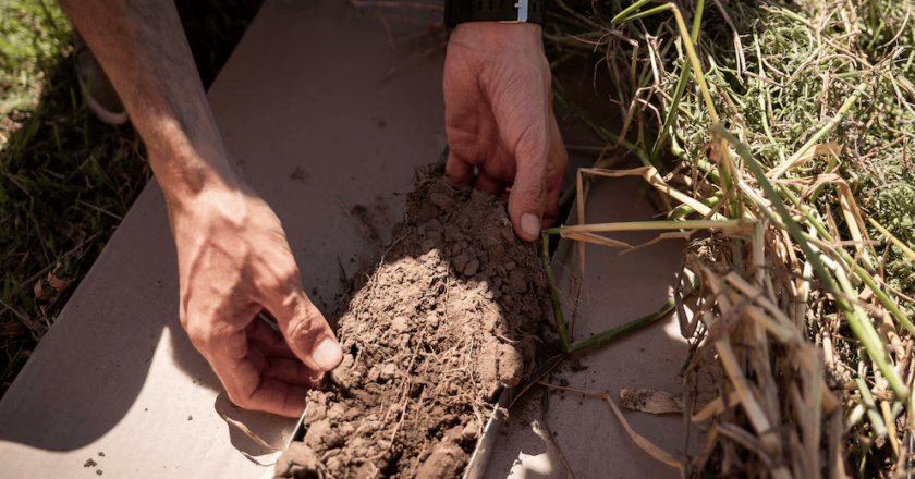 Agricultura regenerativa y tecnología en Córdoba: un modelo sostenible para el campo argentino