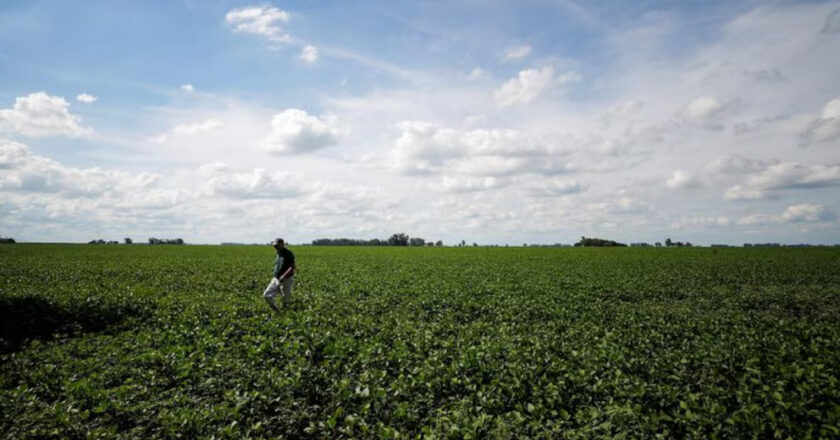 Geografía y tecnología: un estudio desmenuzó los pilares de la productividad del campo argentino