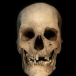 El esqueleto de hace 4.500 años que puede ayudar a reescribir la historia del Antiguo Egipto