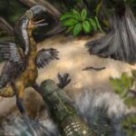 “Ave del terror”: qué dicen los últimos hallazgos en Colombia sobre el enorme reptil que atemorizó a Sudamérica hace 13 millones de años