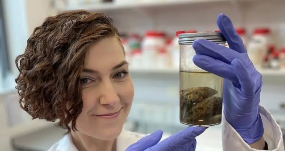 La científica que colecciona cerebros antiguos y busca descifrar por qué pueden perdurar hasta miles de años
