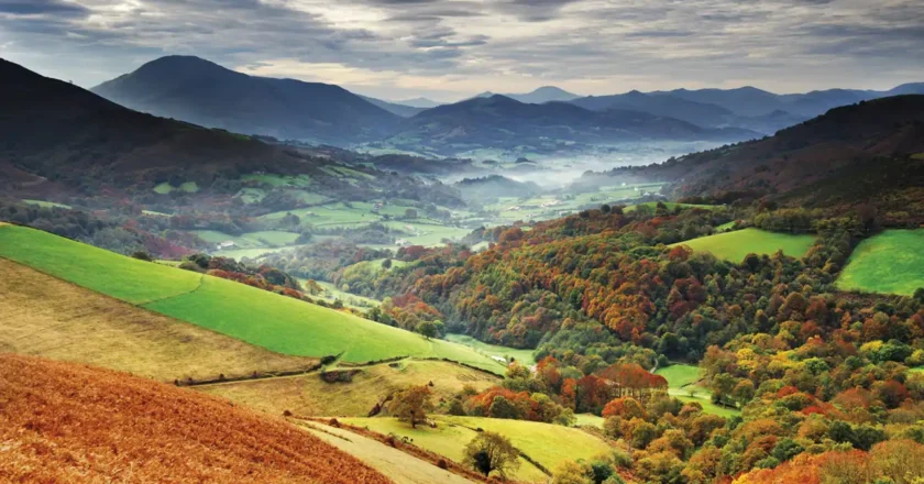 Qué significa el apellido García: historia y origen de uno de los apellidos más comunes de nuestro país