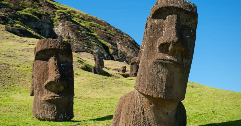 No solo los humanos: el ‘invitado’ que podría haber causado la deforestación catastrófica de Rapa Nui