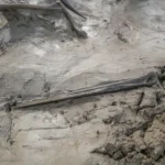 Descubren en Suecia una misteriosa tumba de hace 5.000 años de un perro con una daga de hueso