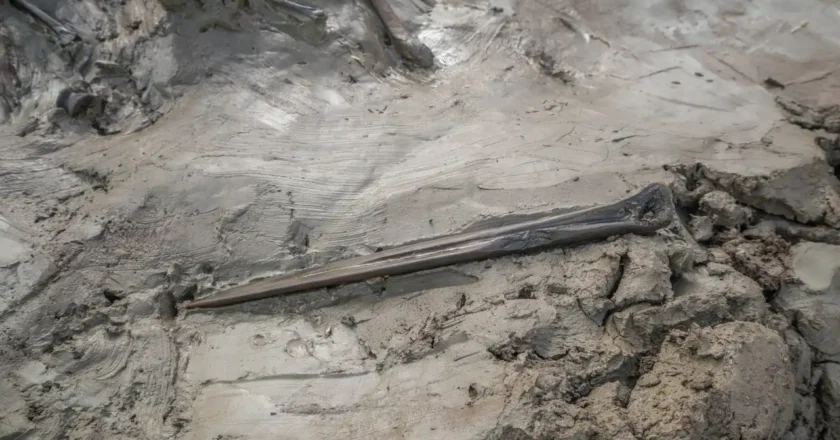 Descubren en Suecia una misteriosa tumba de hace 5.000 años de un perro con una daga de hueso