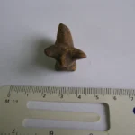 Descubren una figura de toro de una misteriosa cultura de hace 6.000 años en Galicia