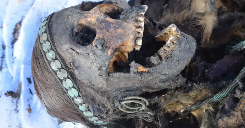 Descubren los secretos de la última chamana gracias al ADN antiguo